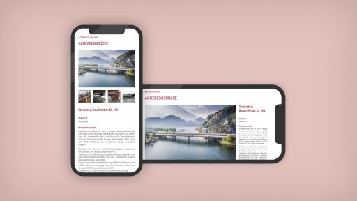 Webseite ACS Partner